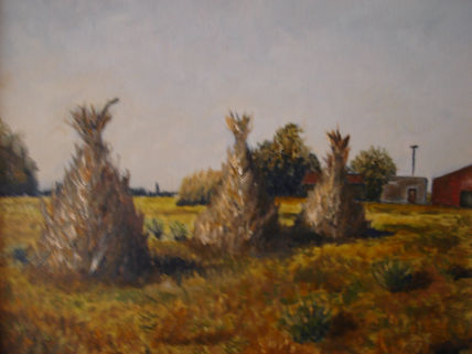 Parvas