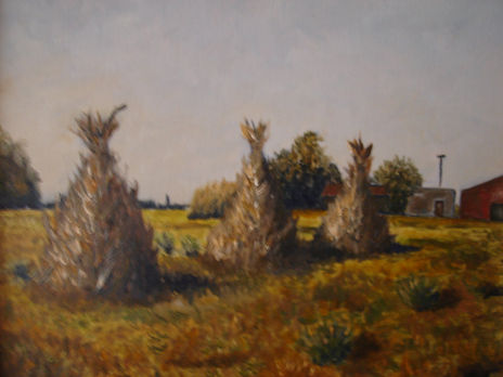 Parvas