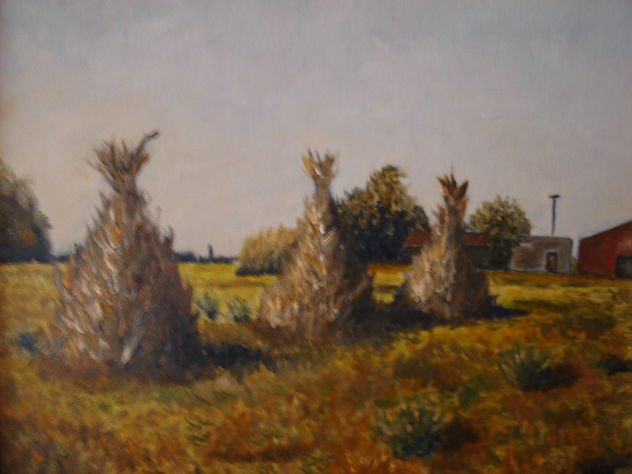 PARVAS