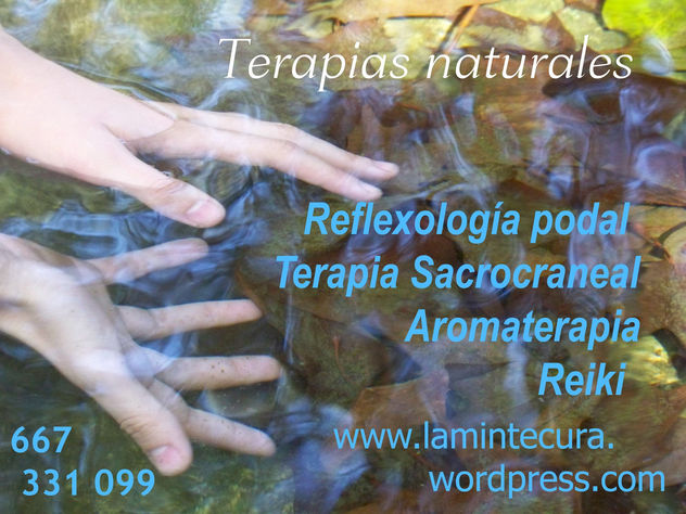 Tarjetas de LAMIN TERAPIAS NATURALES
