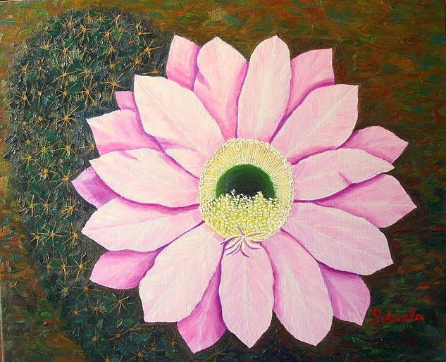 Flor de Cactus óleo sobre lienzo Oil Canvas Floral Painting