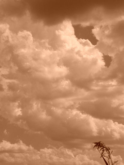 Tierra y Cielo Naturaleza Blanco y Negro (Digital)