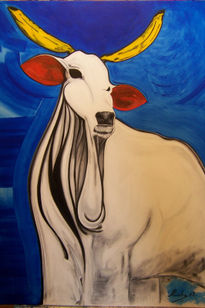 Indian Cow Platanized