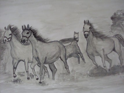 Estampida