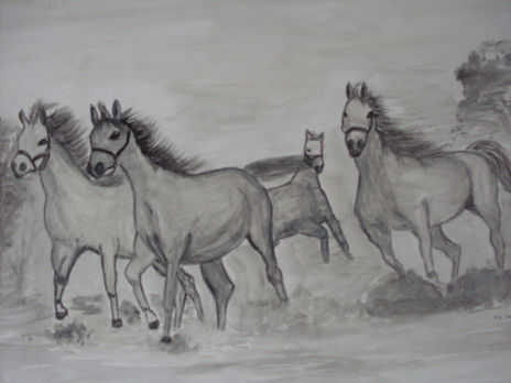 Estampida