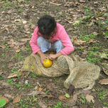los frutos de la abuela thumbnail 2