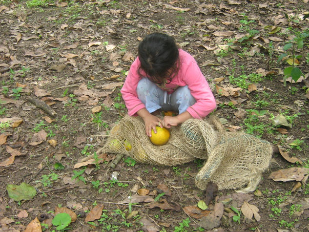 las frutas de la abuela 