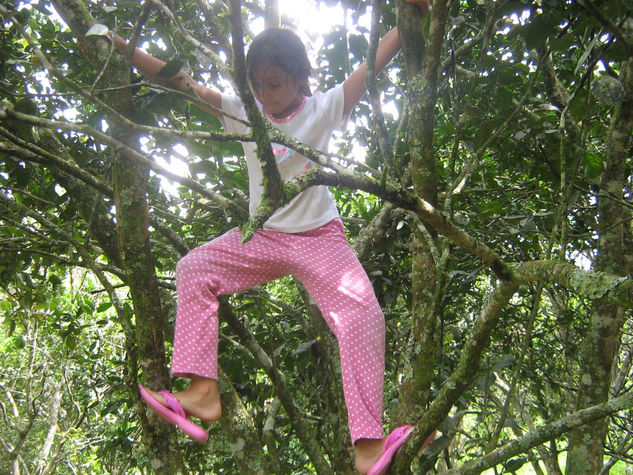 laos frutos de la abuela 