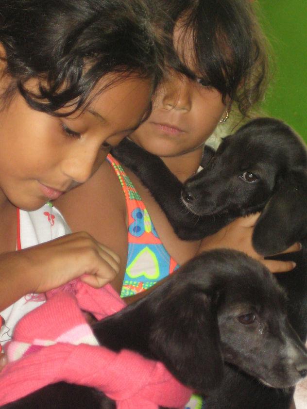 las mascotas de mis hijas