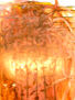 Pintura Asfáltica Y Acrílico  V