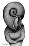 cabeza caracol