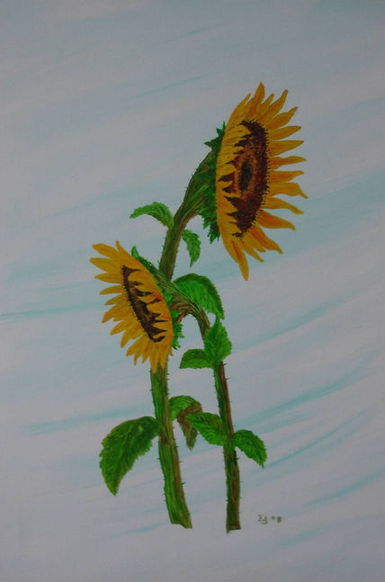 Girasoles