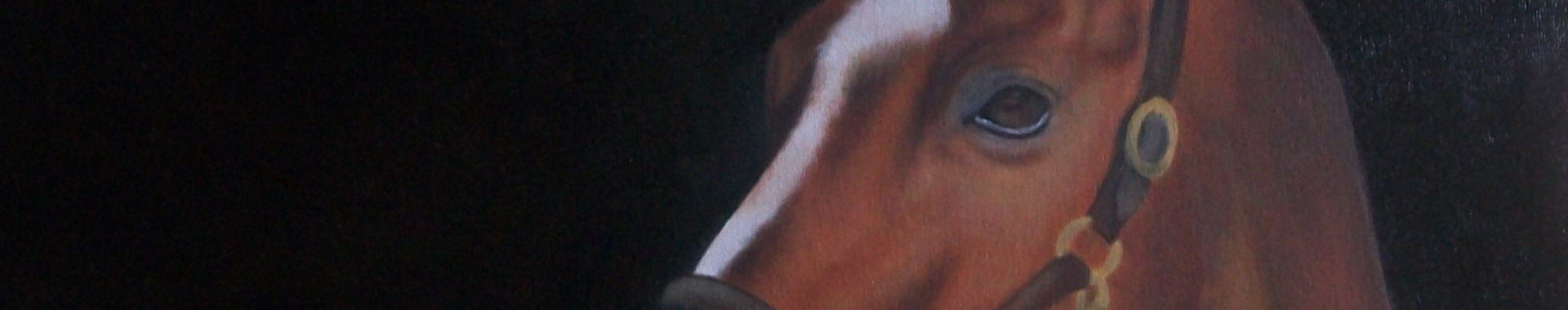 Imagen de portada