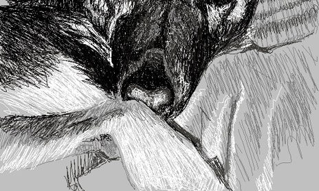 Dibujos por ordenador