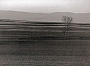 SORIA 