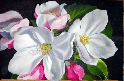 Flores de manzanos