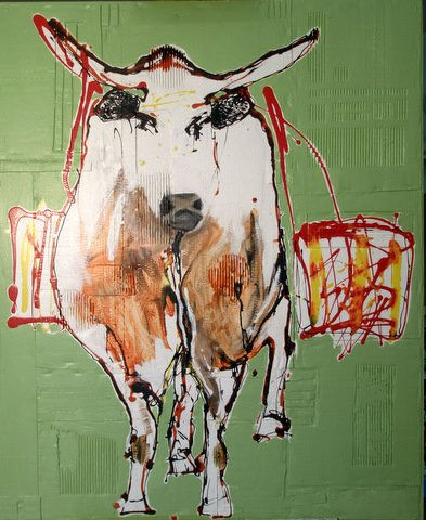 vaca