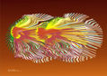 EXTRAÑA ABSTRACCIÒN
