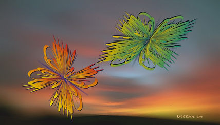 Mariposas al atardecer