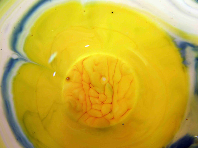 yellow brain