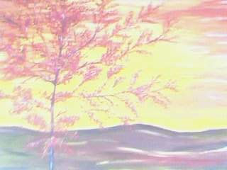 Brillo de sol