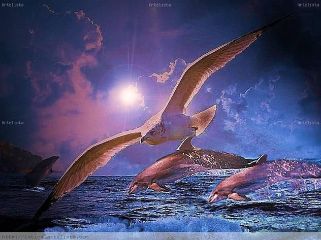 vuelo sobre el mar.