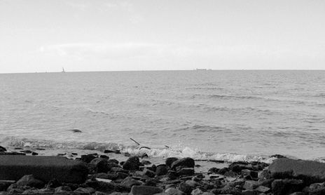 PULIDOSDERIO