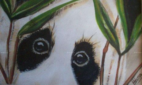 animales