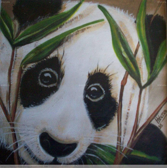 Panda Oil Canvas Animals