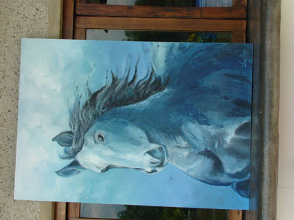 Furia
