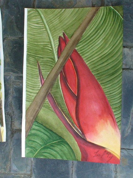 Heliconia