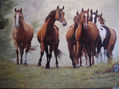 caballos