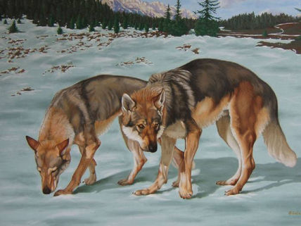 Lobos