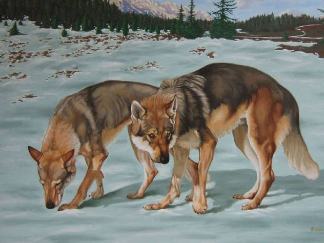 Lobos