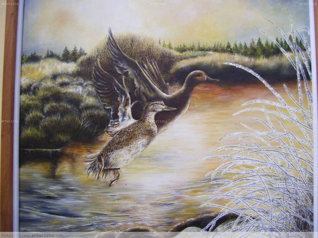 invierno en rio quequen