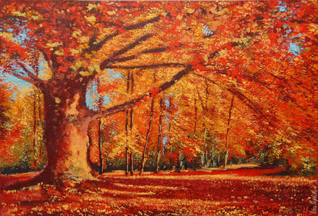 Bosc a la tardor