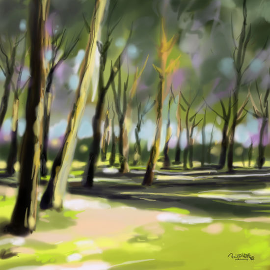 Pinares de Valdelatas Watercolour Paper Landscaping