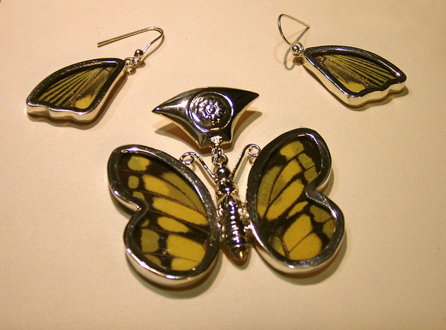 PLATA CON ALAS DE MARIPOSA
