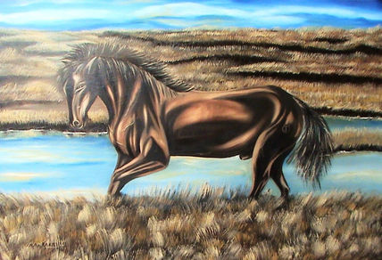 Alma del desierto