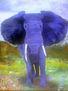 Elefante en el Edén