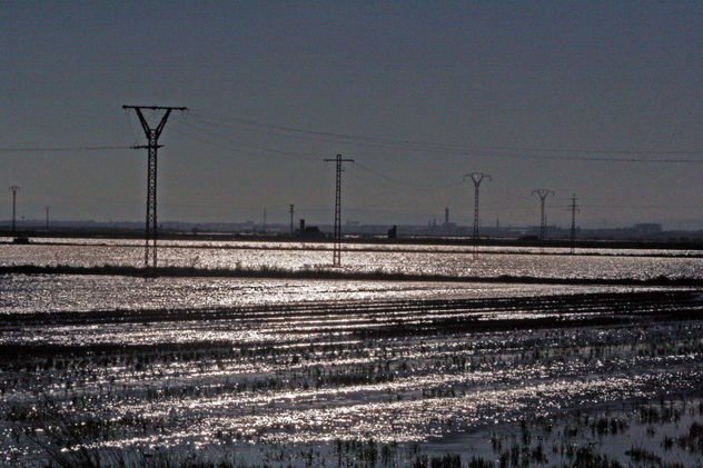 campos electricos