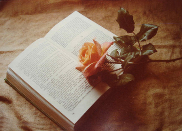 EL LIBRO Y LA ROSA