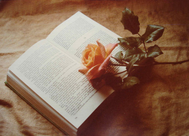 EL LIBRO Y LA ROSA Still lifes Color (Manual)