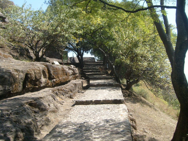 CAMINO A MALINALCO 