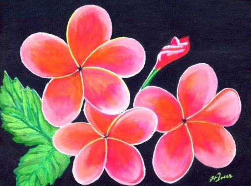 Flores Gouache Lienzo Paisaje