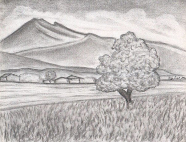 Arbol Charcoal