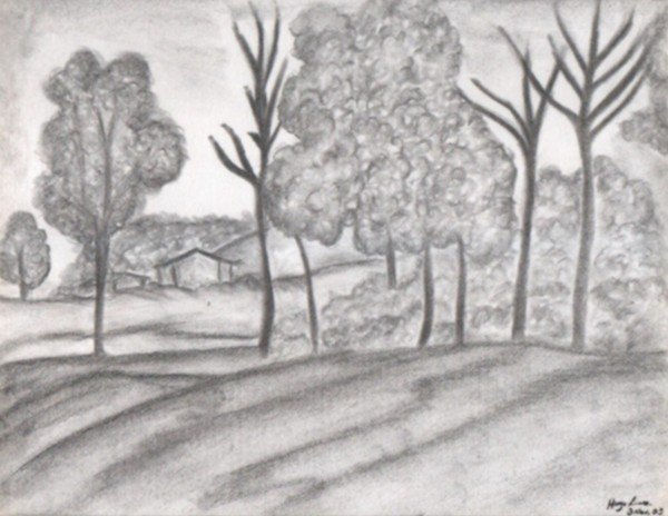 En la hacienda III Charcoal