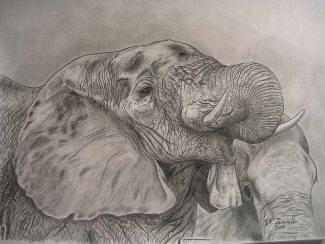 Elefante Pencil