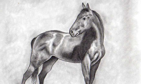 Temas ecuestres