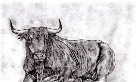 Temas Taurinos